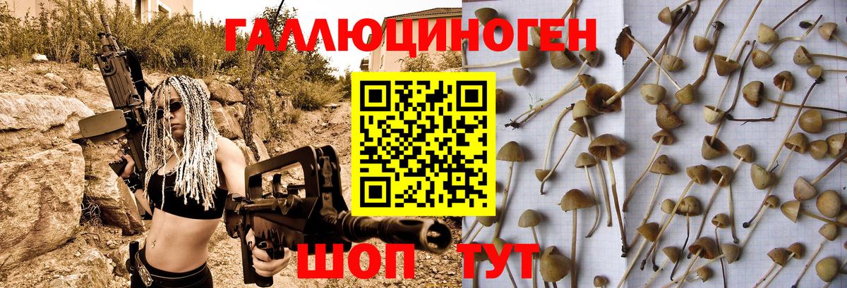 Ишимбай  Псилоцибиновые грибы прущие грибы  Псилоцибиновые грибы Magic Shrooms  Вход с VPN 