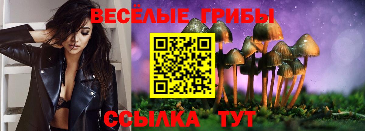 Галлюциногенные грибы Magic Shrooms Ишимбай